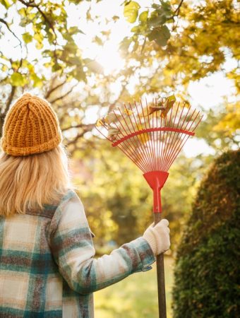 These Are 10 Everyday Household Items Gardeners Are Using Instead of Expensive Tools