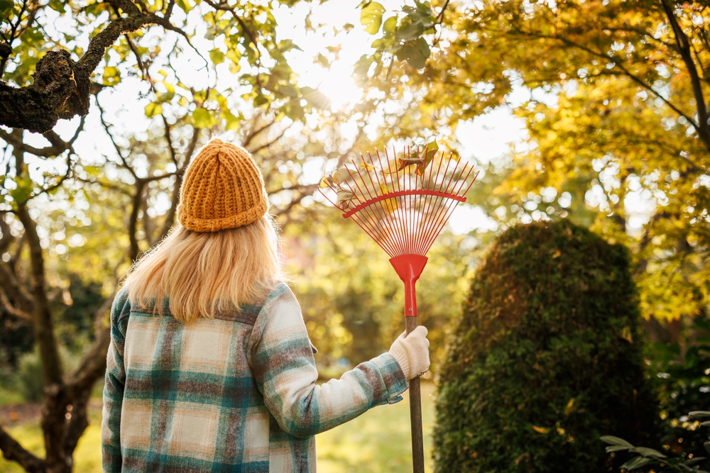 These Are 10 Everyday Household Items Gardeners Are Using Instead of Expensive Tools