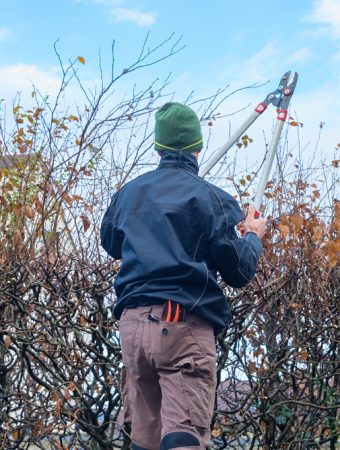 These Are 10 Crucial Gardening Jobs You Must Do In February