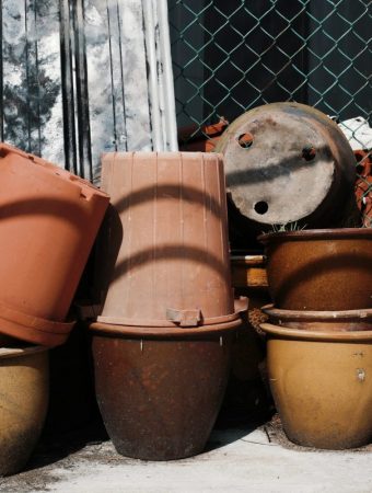 Why Reusing Nursery Pots Without This Step Is Costing Gardeners Hundreds