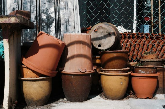 Why Reusing Nursery Pots Without This Step Is Costing Gardeners Hundreds