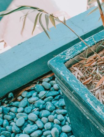 The Cheap Gardening Hack That’s Actually Killing Your Plants
