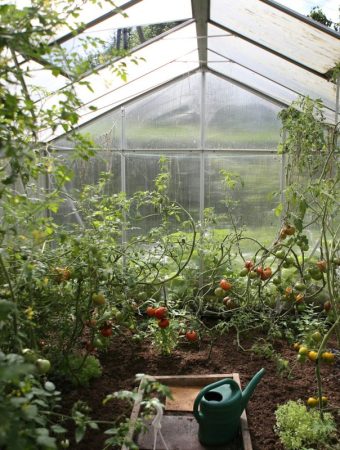 Fire Marshals Warn: This Common Greenhouse Setup Is a Major Risk
