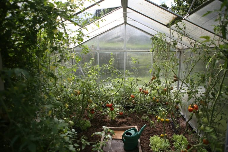 Fire Marshals Warn: This Common Greenhouse Setup Is a Major Risk