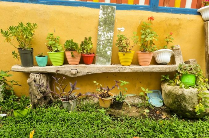 How to Reuse Old Pots Without Harming Plants