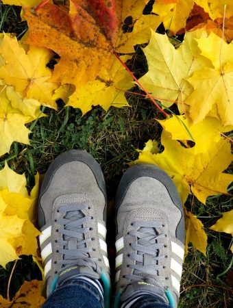 How Leaf Litter Can Improve Soil Health and Reduce Fertilizer Costs