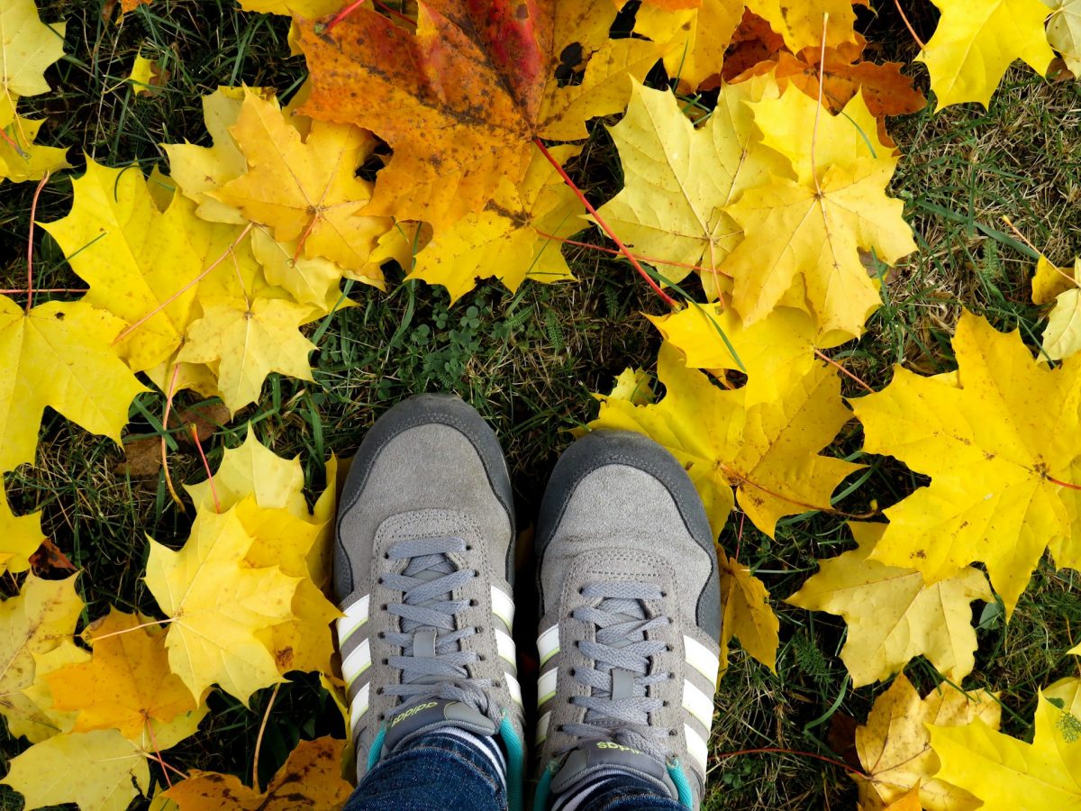 How Leaf Litter Can Improve Soil Health and Reduce Fertilizer Costs