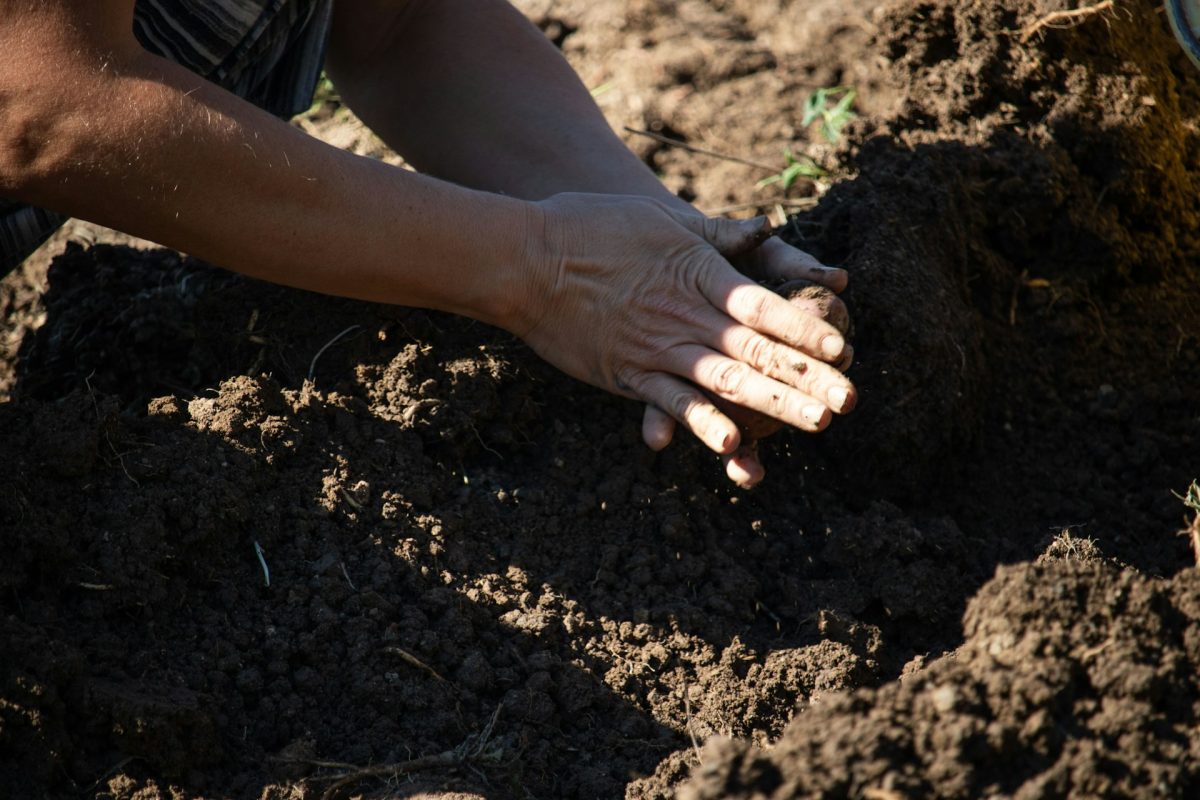 Why Soil Testing Saves Money Over Time