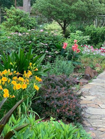 5 Cheap Garden Path Ideas That Improve Access and Drainage