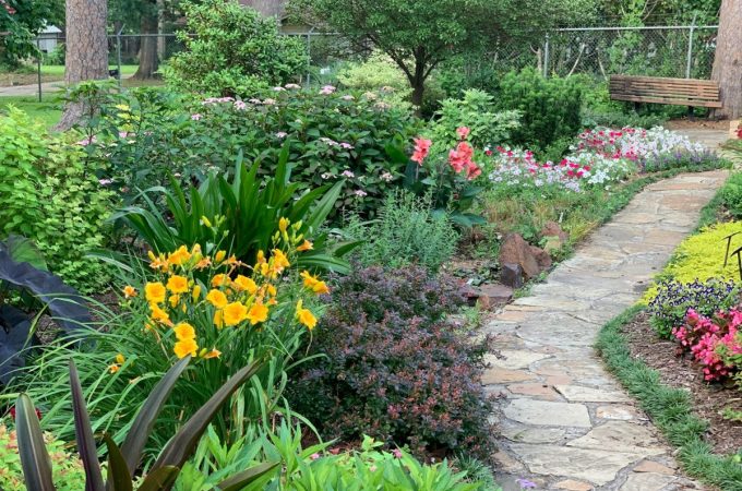 5 Cheap Garden Path Ideas That Improve Access and Drainage