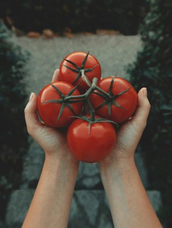 Ways to Grow Tomatoes for Less This Year