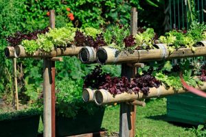 How to Grow More Food in Less Space Without Expanding Your Garden