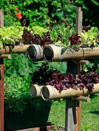 How to Grow More Food in Less Space Without Expanding Your Garden