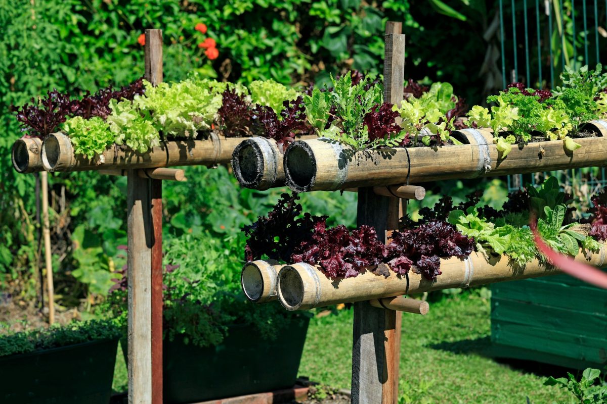 How to Grow More Food in Less Space Without Expanding Your Garden