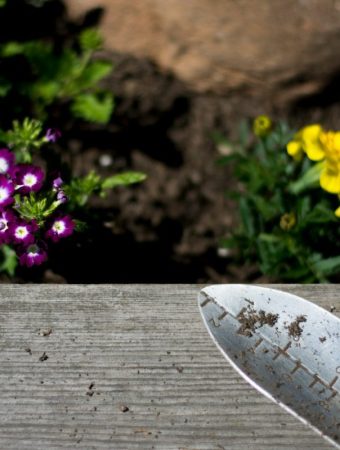 March Garden Layout Mistakes That Waste Space