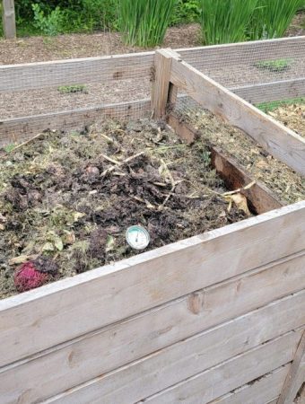 Why Some Compost Smells in Spring