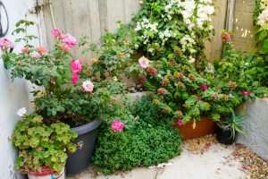 The Truth About Dollar-Store Garden Supplies