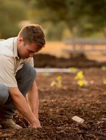 What Slime on Your Soil Means and When You Should Be Concerned