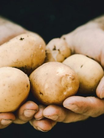 Here Are 8 Plants That Grow Well From Grocery Store Scraps