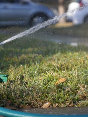 How to Fix Bare Spots Without Buying New Sod