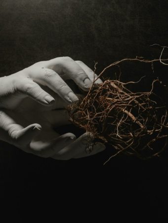 How to Reduce Root Rot Risk Without Chemicals