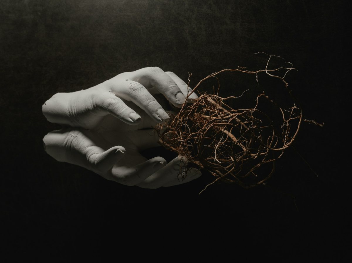 How to Reduce Root Rot Risk Without Chemicals