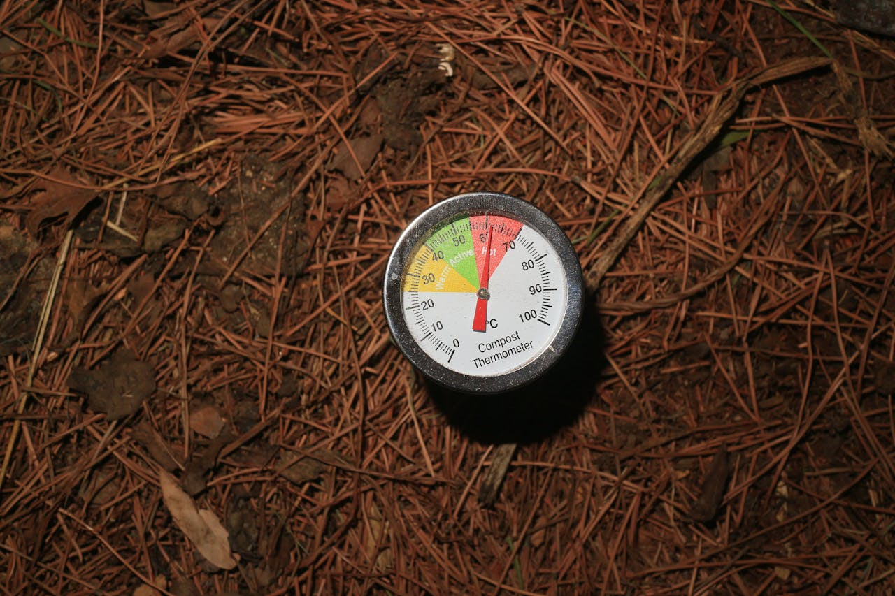 Why Your Compost Isn’t Heating Up and How to Fix It Fast