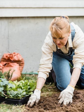 Why Many Gardeners Wait Until Mid-March to Buy Mulch