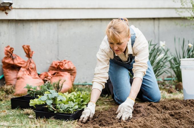 Why Many Gardeners Wait Until Mid-March to Buy Mulch