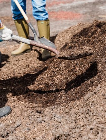 Why Many Gardeners Start Mulching Before April