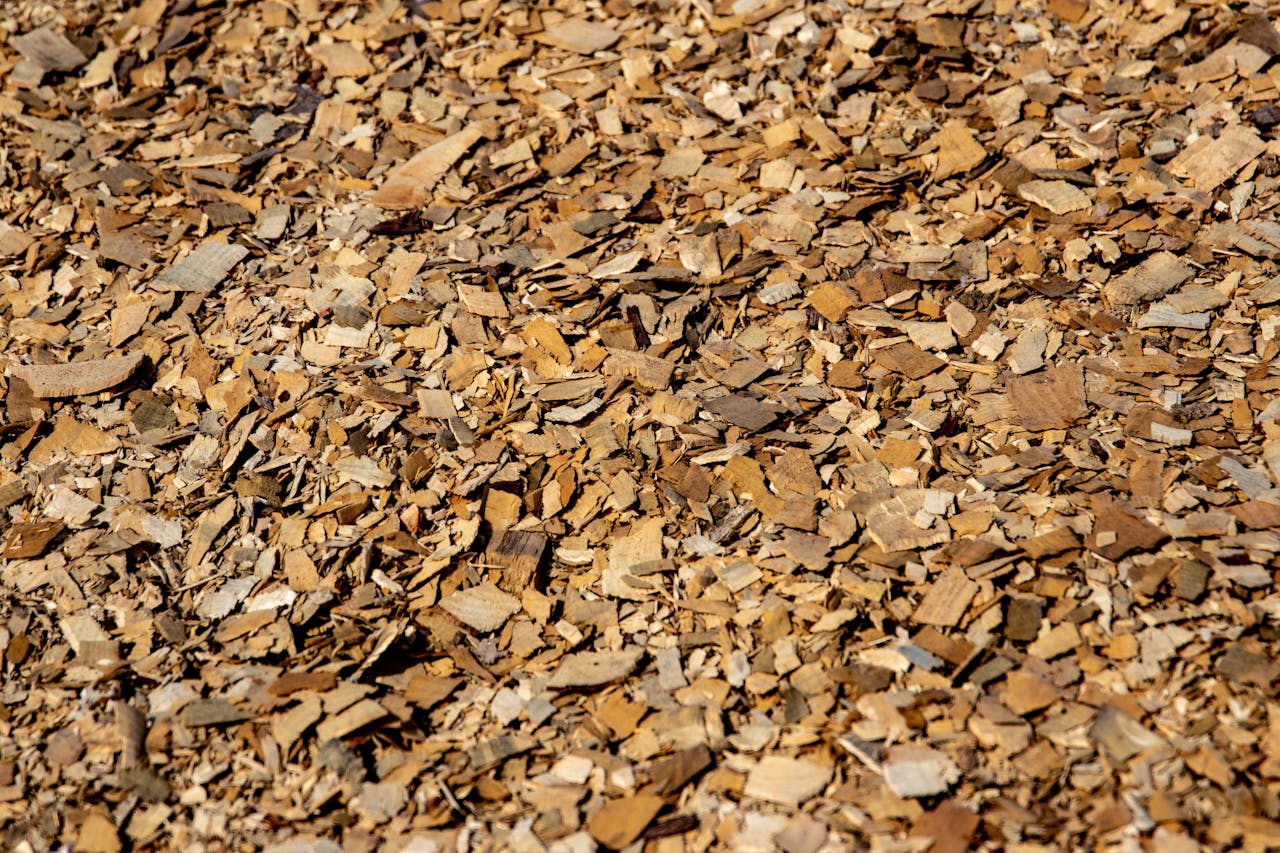 7 Budget-Friendly Mulch Alternatives That Last Longer Than You Expect