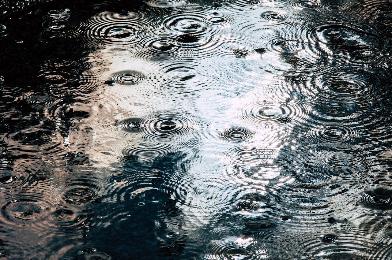 How to Reduce Water Use Without Sacrificing Plant Health