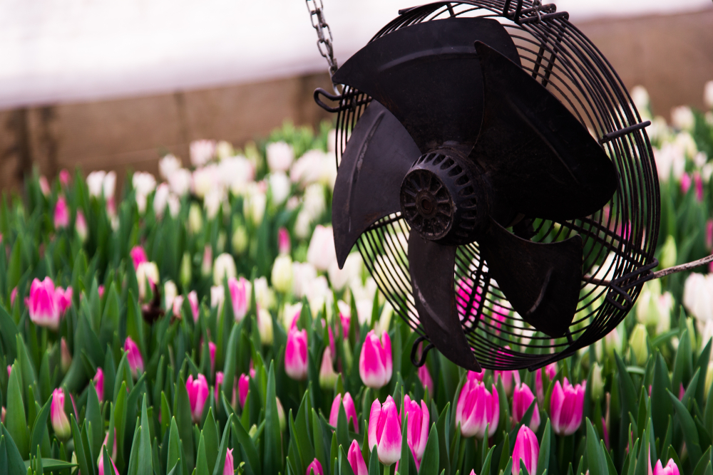 The Little-Known Secret to Strong, Healthy Seedlings That Costs Almost Nothing