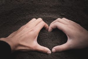 How to Fix Soil pH Problems Naturally