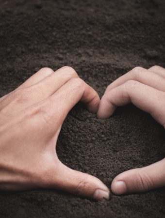 How to Fix Soil pH Problems Naturally