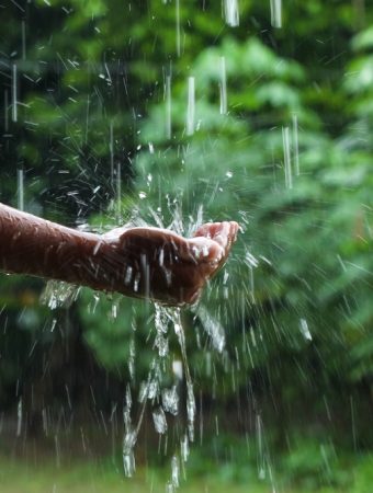 How to Reuse Rainwater in Spring