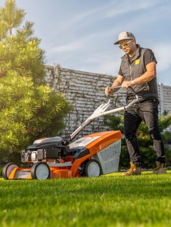 March Lawn Care Mistakes That Cost Money