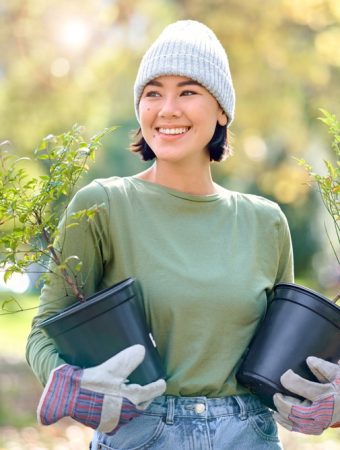 6 Low-Cost Plants That Thrive for Beginner Gardeners on a Budget