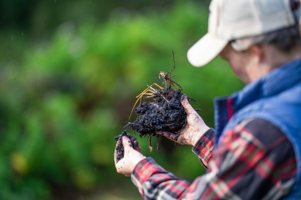 How to Fix Soil pH Problems Naturally