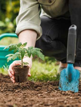 The Best Free Garden Amendments