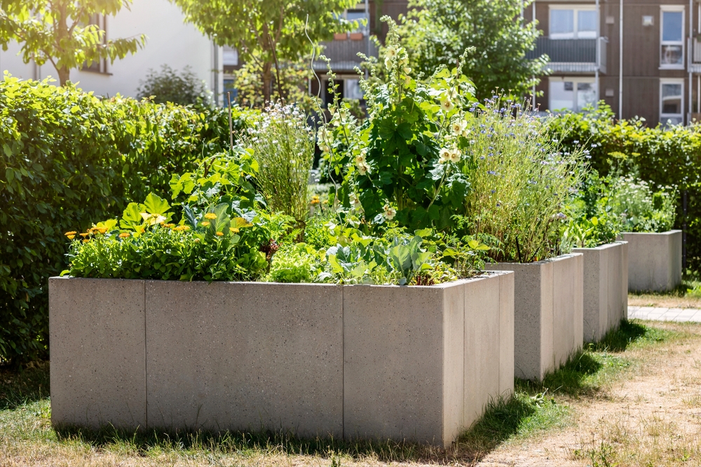 8 DIY Raised Garden Bed Ideas That Don’t Require Expensive Lumber