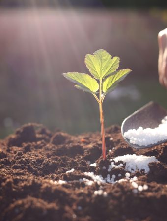 The Hidden Cost of War: How Fertilizer Disruptions Push Grocery Bills Highe