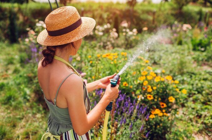 March Watering Mistakes That Can Raise Your Bills