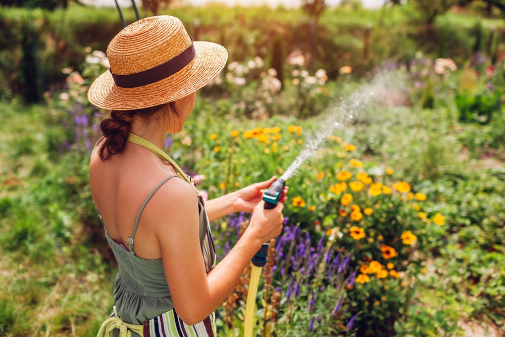 March Watering Mistakes That Can Raise Your Bills
