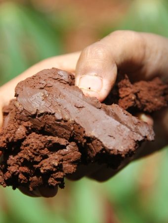 Low-Cost Ways to Improve Clay Soil