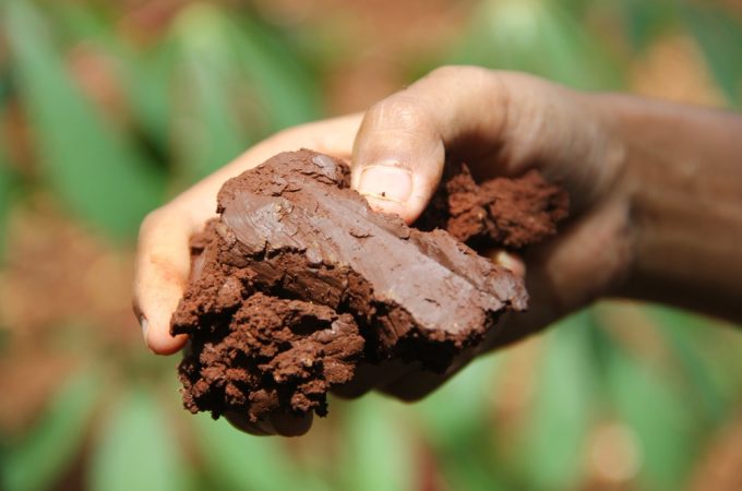 Low-Cost Ways to Improve Clay Soil