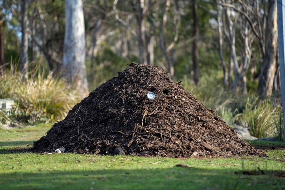Why Your Compost Isn’t Heating Up