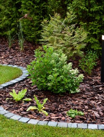 6 Affordable Garden Border Ideas That Improve Curb Appeal