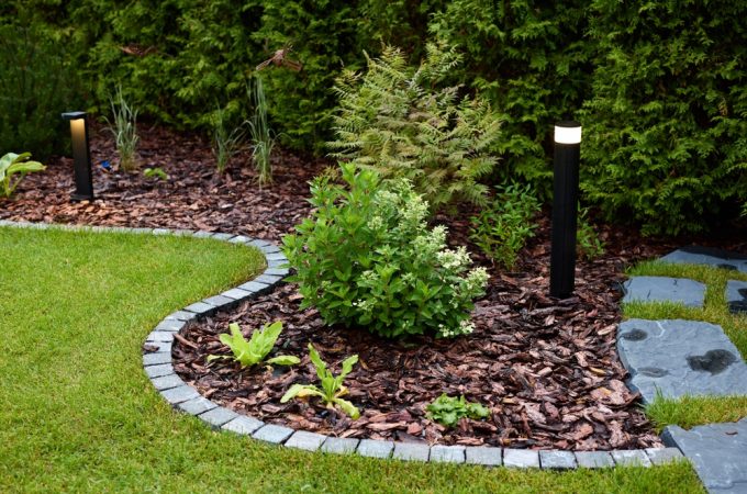 6 Affordable Garden Border Ideas That Improve Curb Appeal