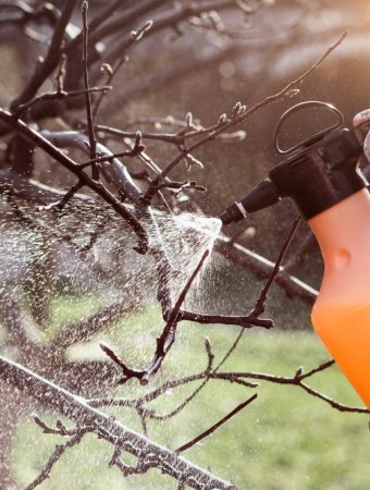 A DIY Pest Spray That Costs Just Pennies